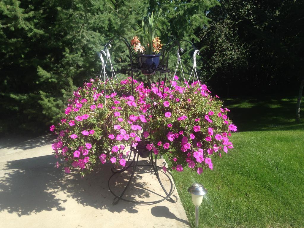 Eagle'S Nest B&B Lake Country Luaran gambar