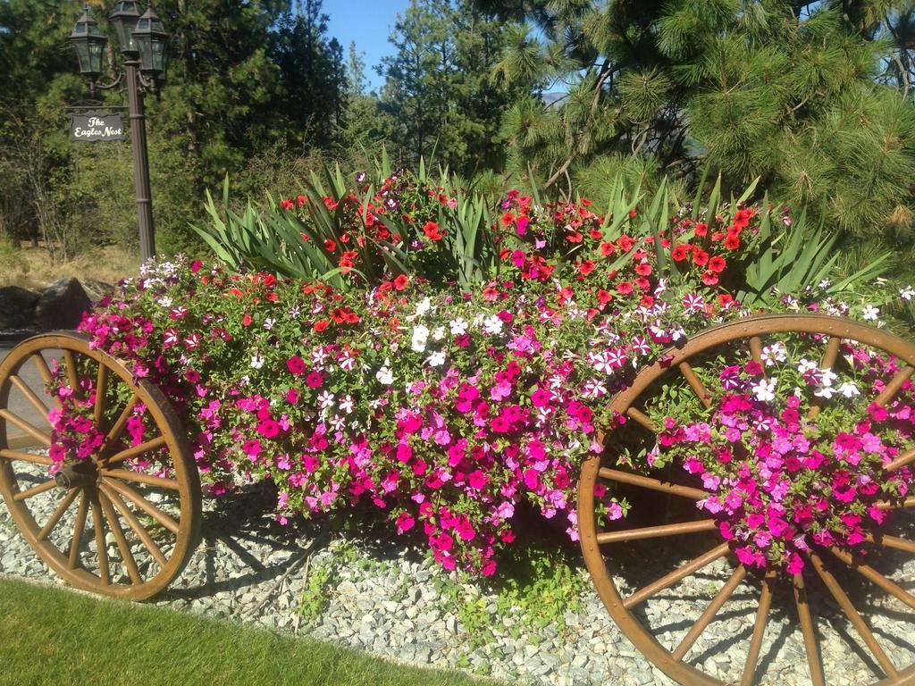 Eagle'S Nest B&B Lake Country Luaran gambar