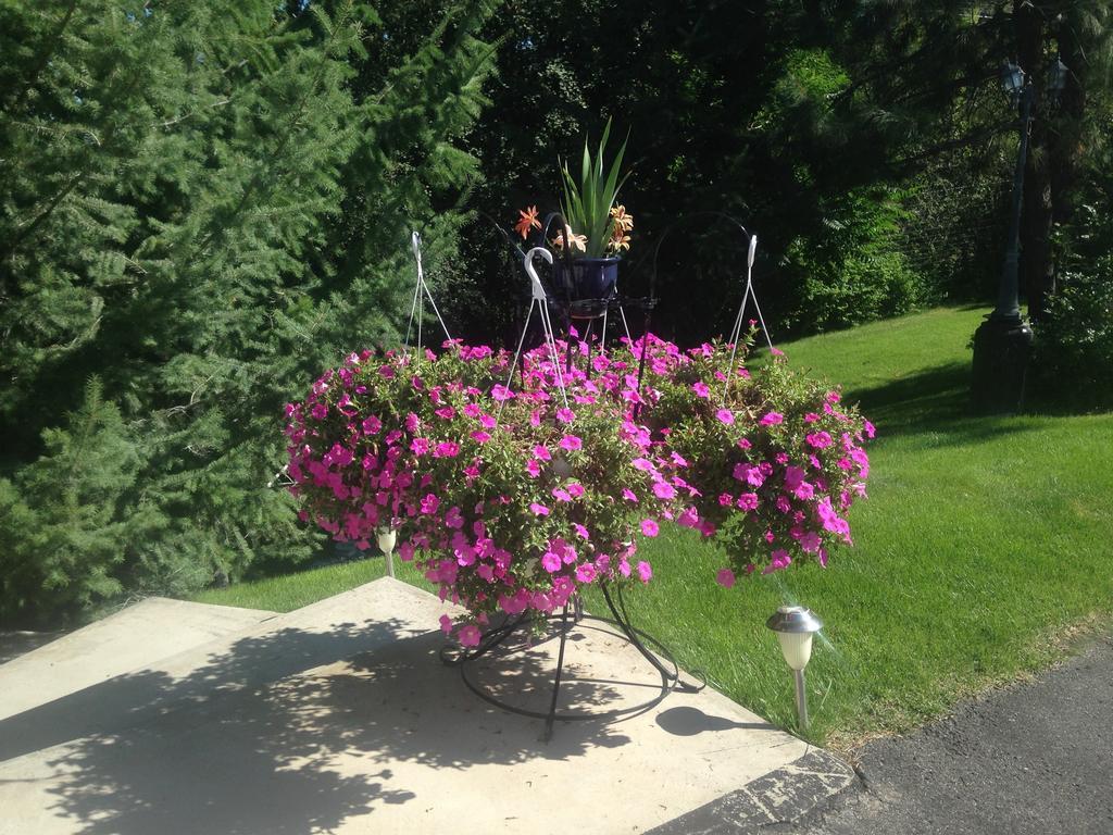 Eagle'S Nest B&B Lake Country Luaran gambar